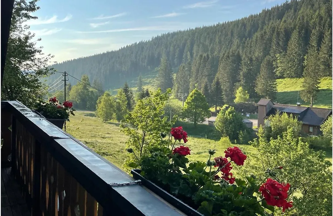Black Forest Dream Apartments-1